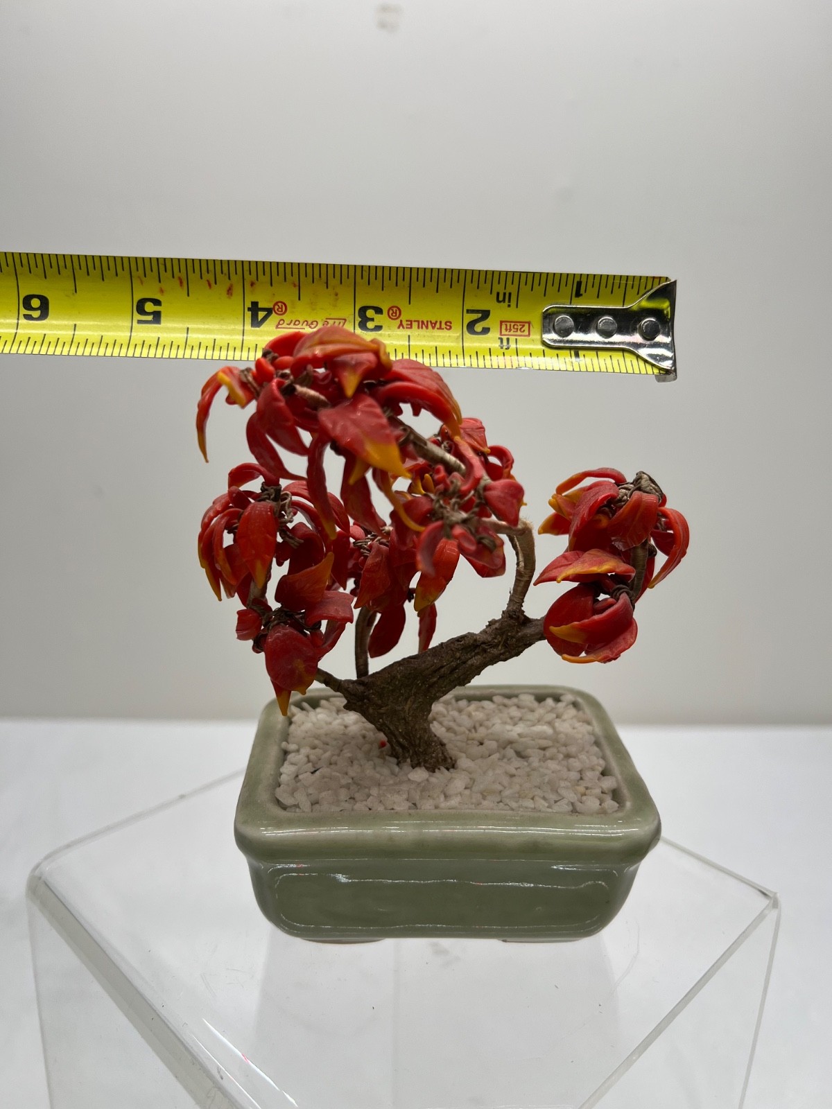 Antique Chinese Jade Tree Oriental Bonsai Jade Plant