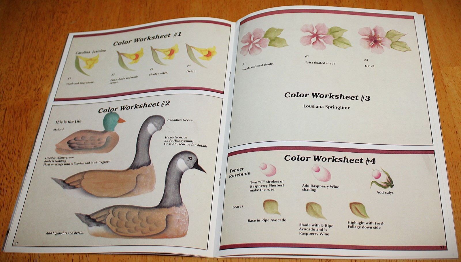 Plaid: HAND PAINTED WALL WORDERS Tole Painting Book #8168 – Sandy Aubuchon – Guc