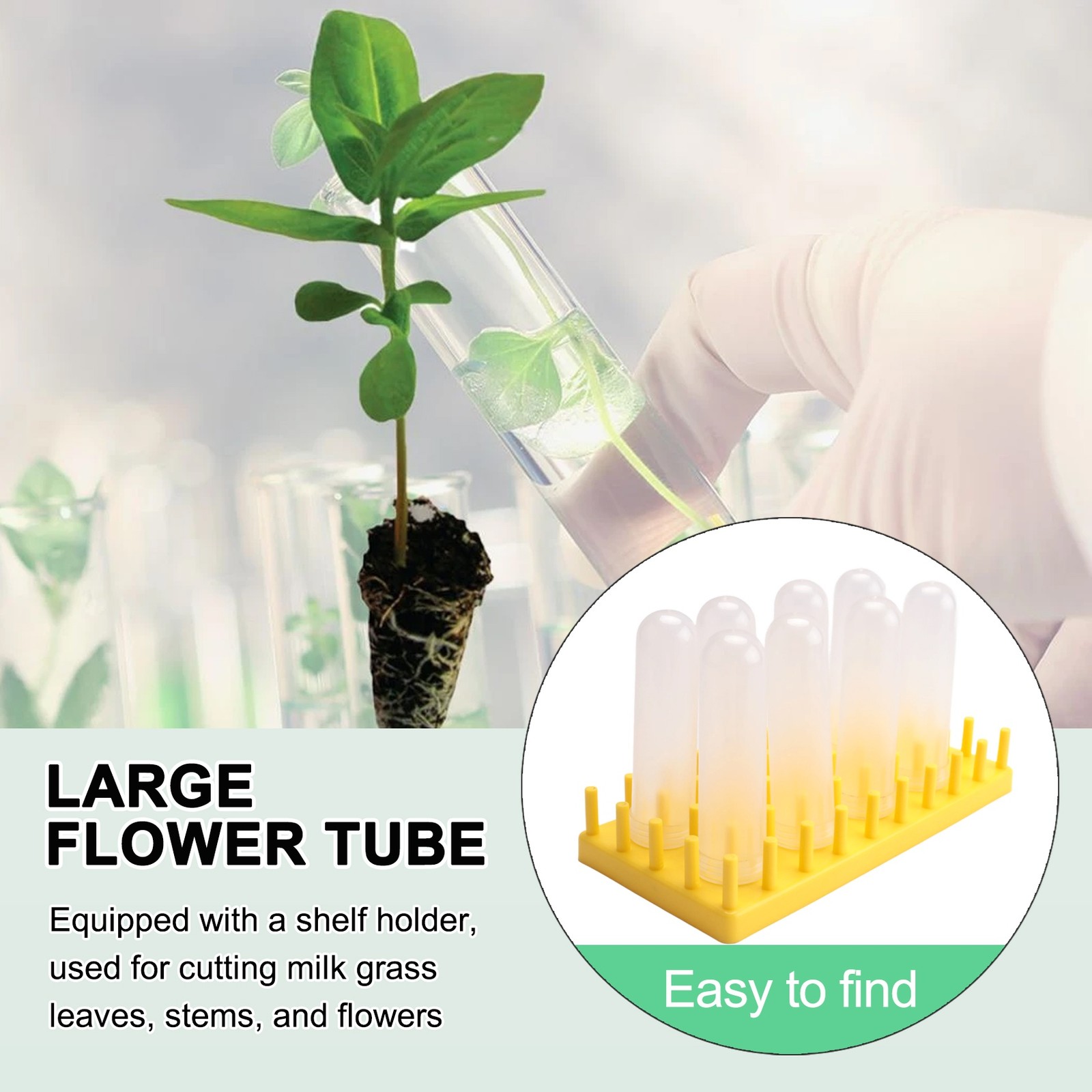 8Pcs 50Ml Floral Tubes with Rack Holder for Milkweed Leaf, Stem and Flower3499