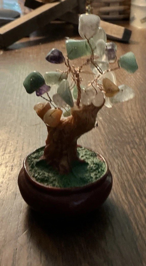 Small Asian Jade Tree In Lacquer Wood Base, money tree, bonsai