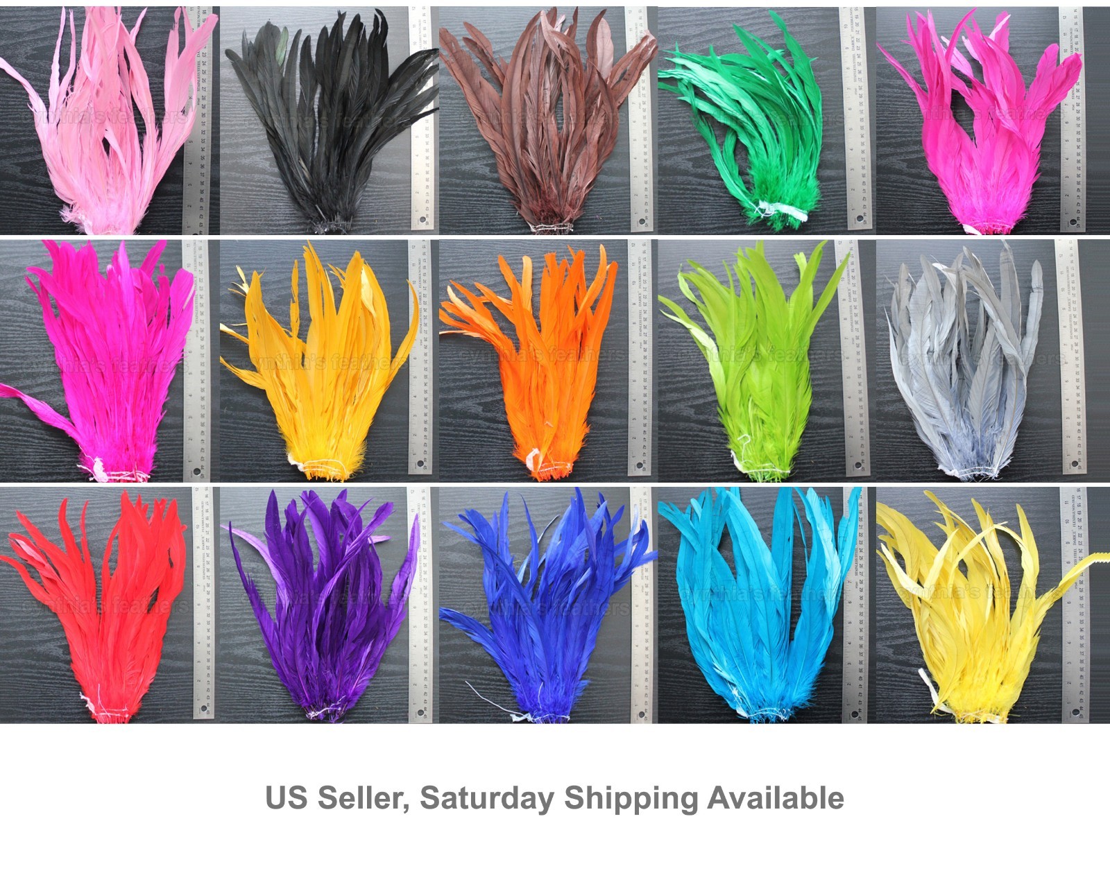 25pcs10-12″long Dyed Rooster COQUE tail Feathers,16+ colors to pick from, New!