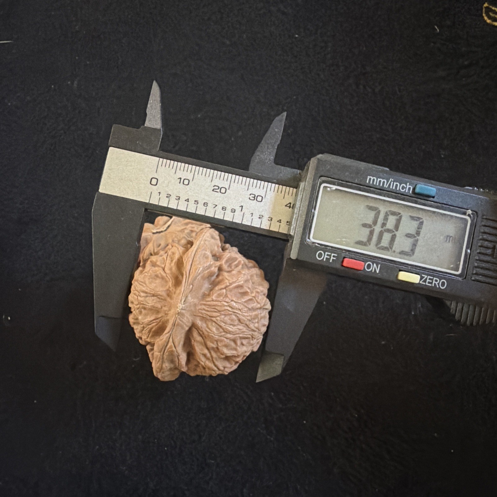 文玩核桃 Ornamental Walnut · Chinese Pocket Curio 2026年新开，精配对无修无打底，#189