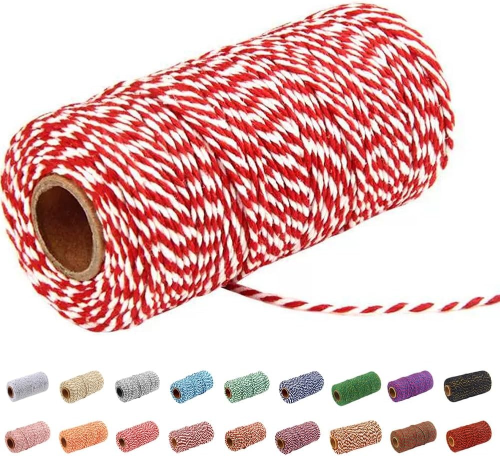 Twine String,328Ft twine rope,2mm Twine for Crafts, Art, Gardening Plants, Gift