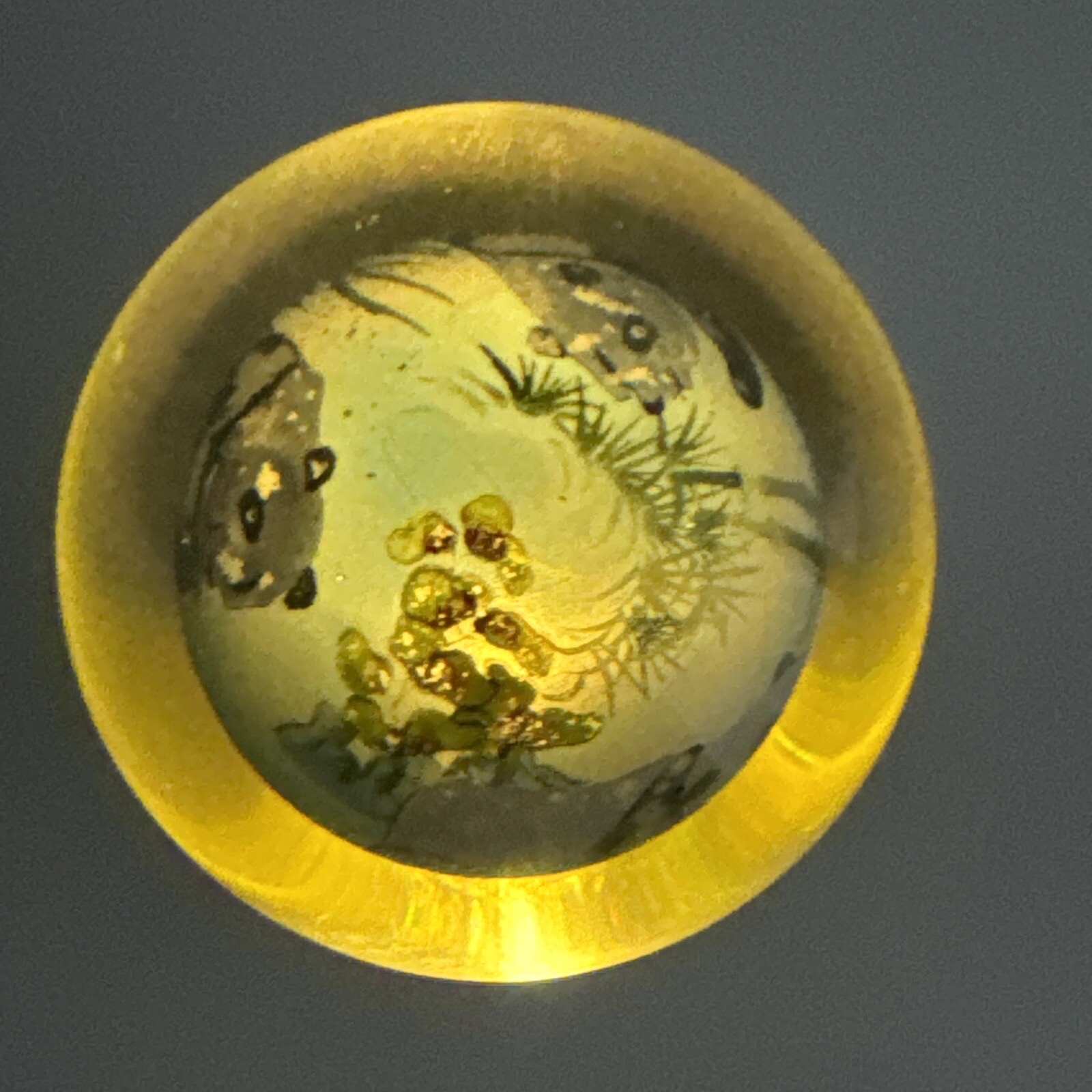 Chinese Hand painted Inside Reverse Art Panda Glass Globe