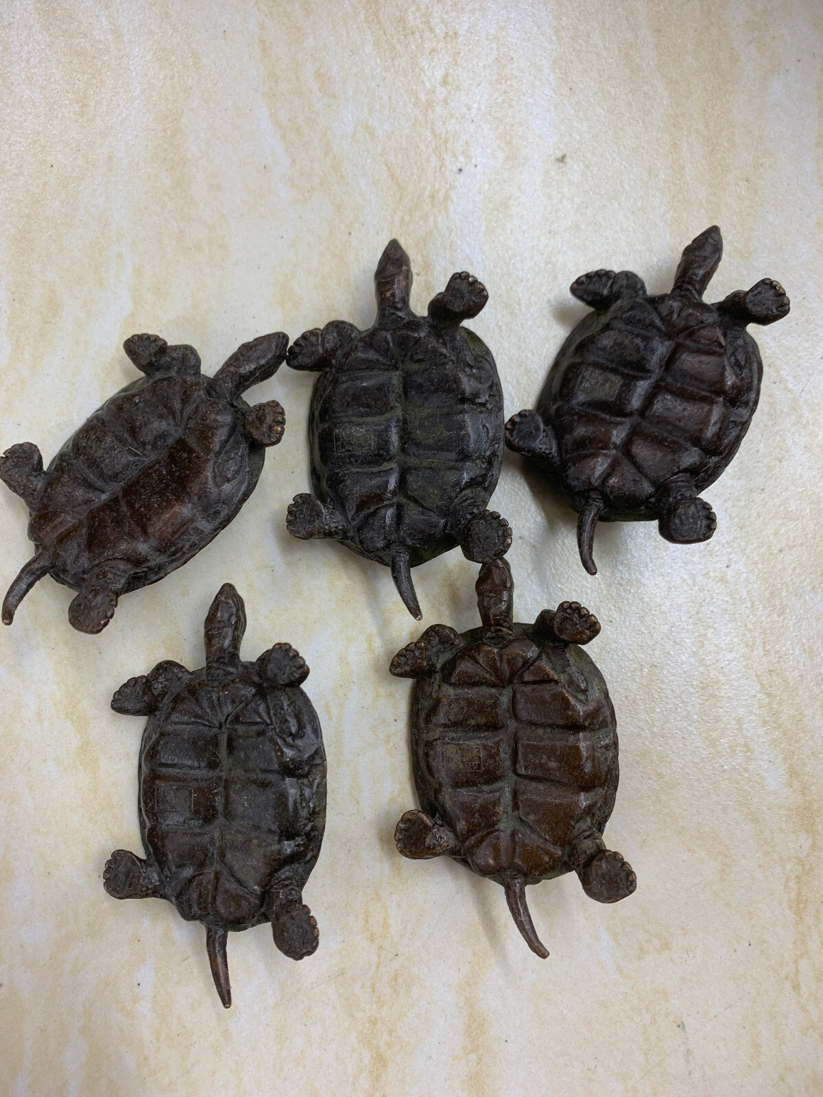 5 Pcs Wonderful Chinese Bronze Hand Made *Turtle* Statues