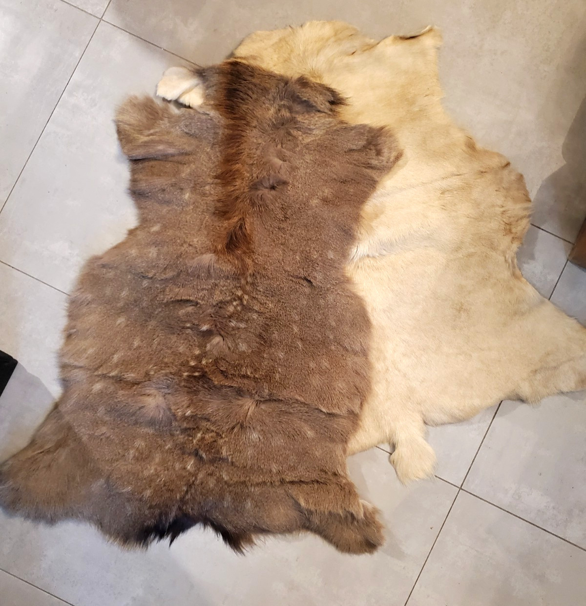 Two Fallow Deer Pelts Hides – White and Spotted Leather Skins Thick Winter Coats