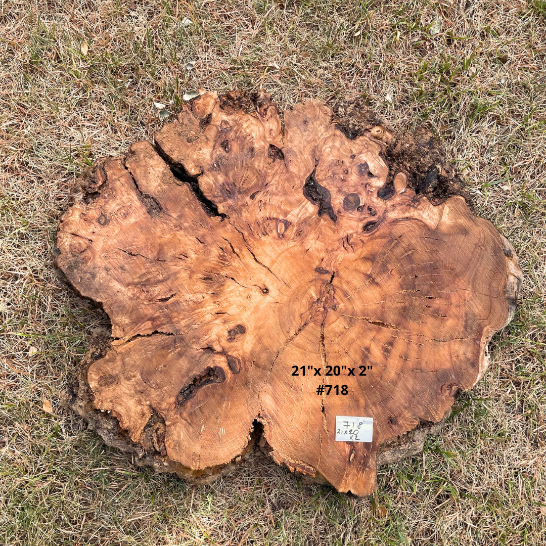 Live Edge Olive Wood Cookies for Woodworking, Crafting, Resin Table