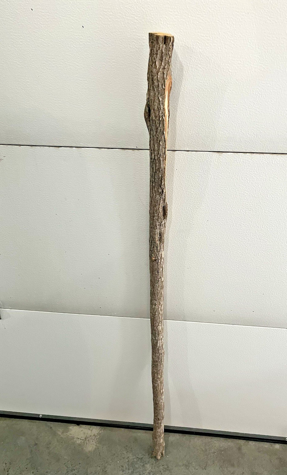 Diamond Willow Cane (You Carve 💎s): 46″ Walking Stick, Twisted wood, Colorful