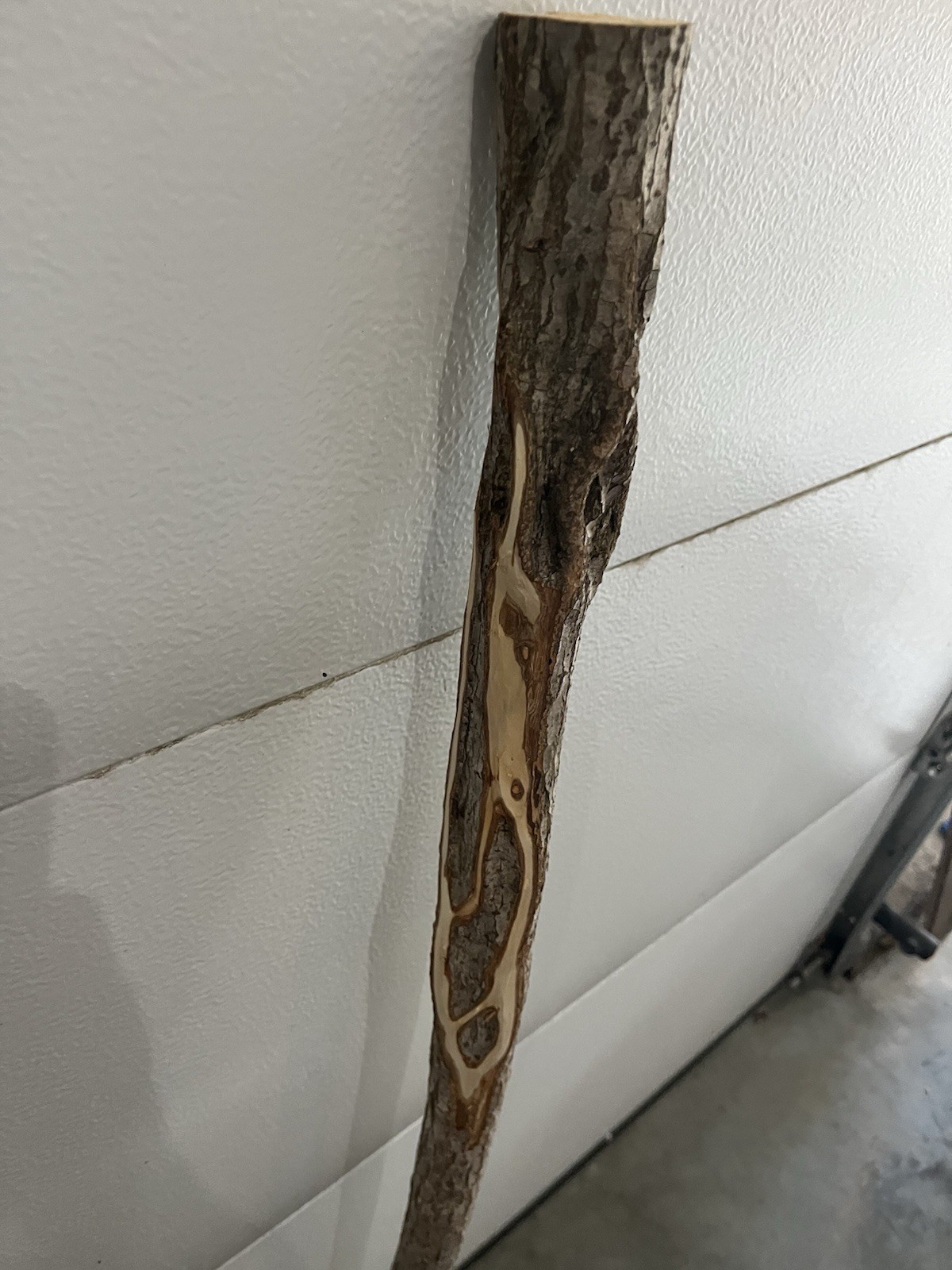 Diamond Willow Cane (You Carve 💎s): 46″ Walking Stick, Twisted wood, Colorful