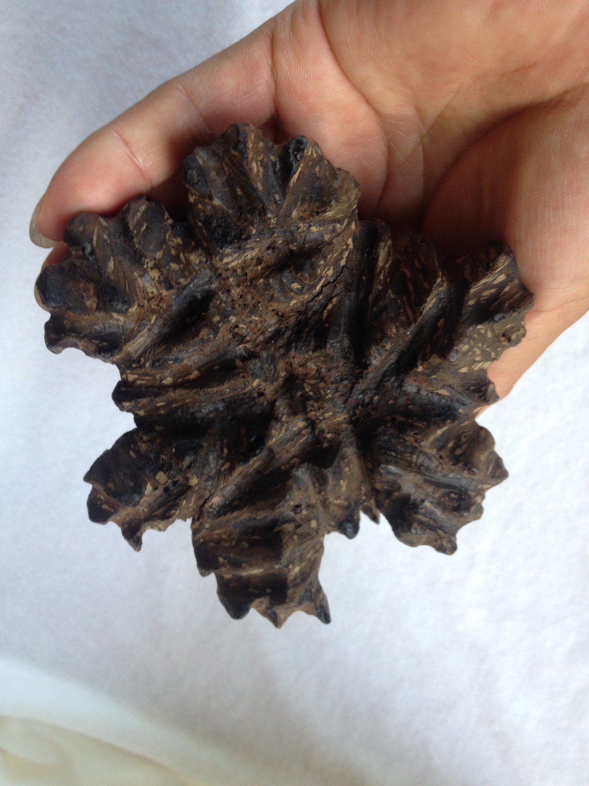 Superb rare Asian Oriental Chinese Old Kinam Chenxiang Agarwood incense figure