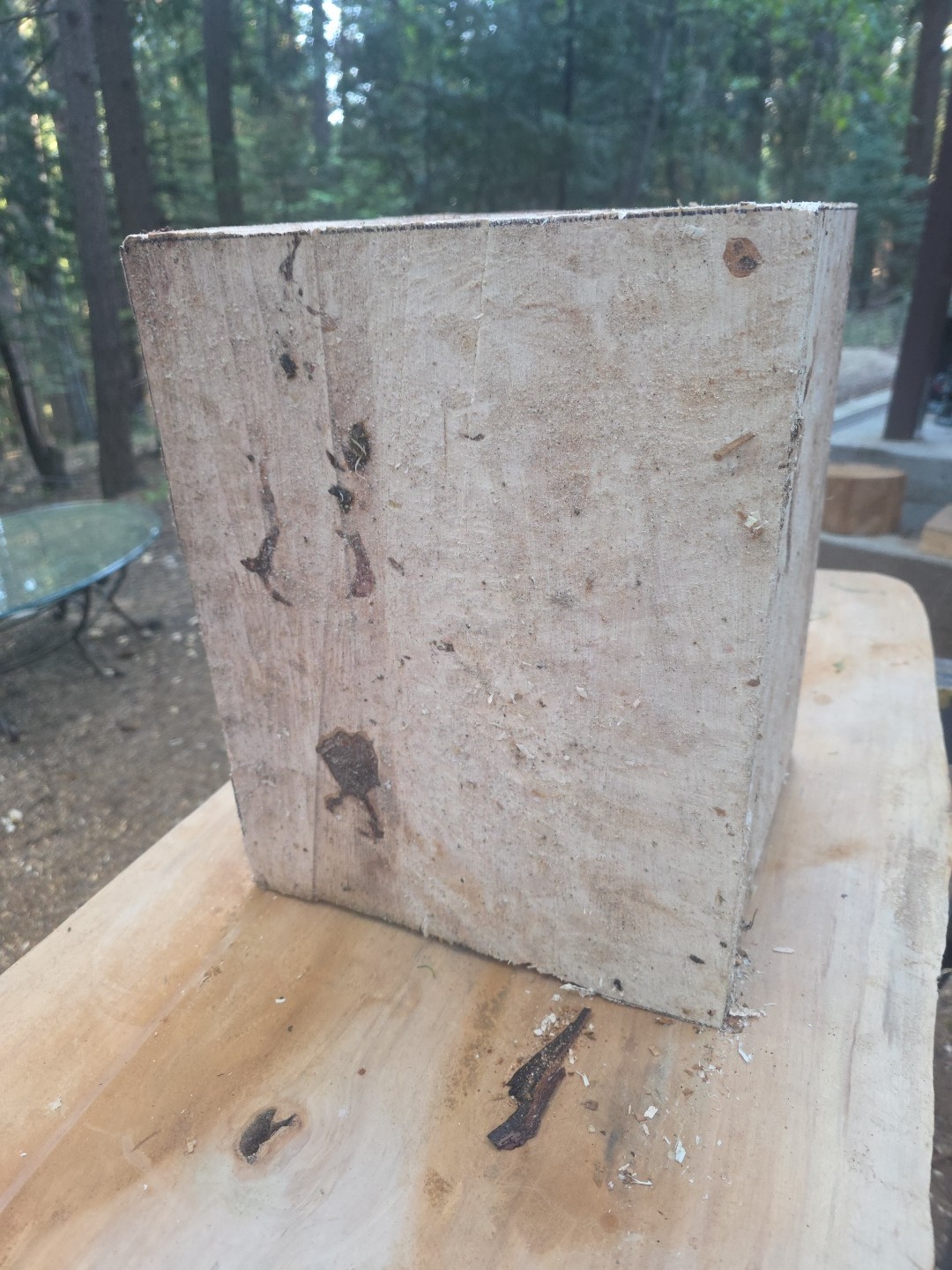 Last One. Birdseye Maple Bowl Blanks Rough 16x12x12 C114-BEM