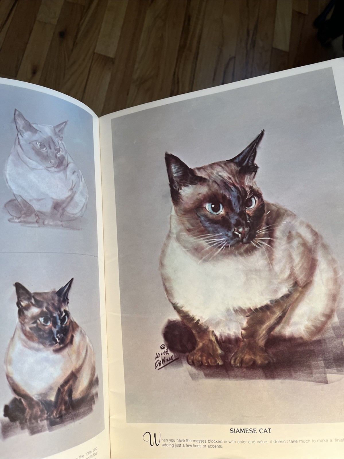 How to Draw Cats and Kittens #184 (1960) Leslie B DeMille-A Walter T Foster Book