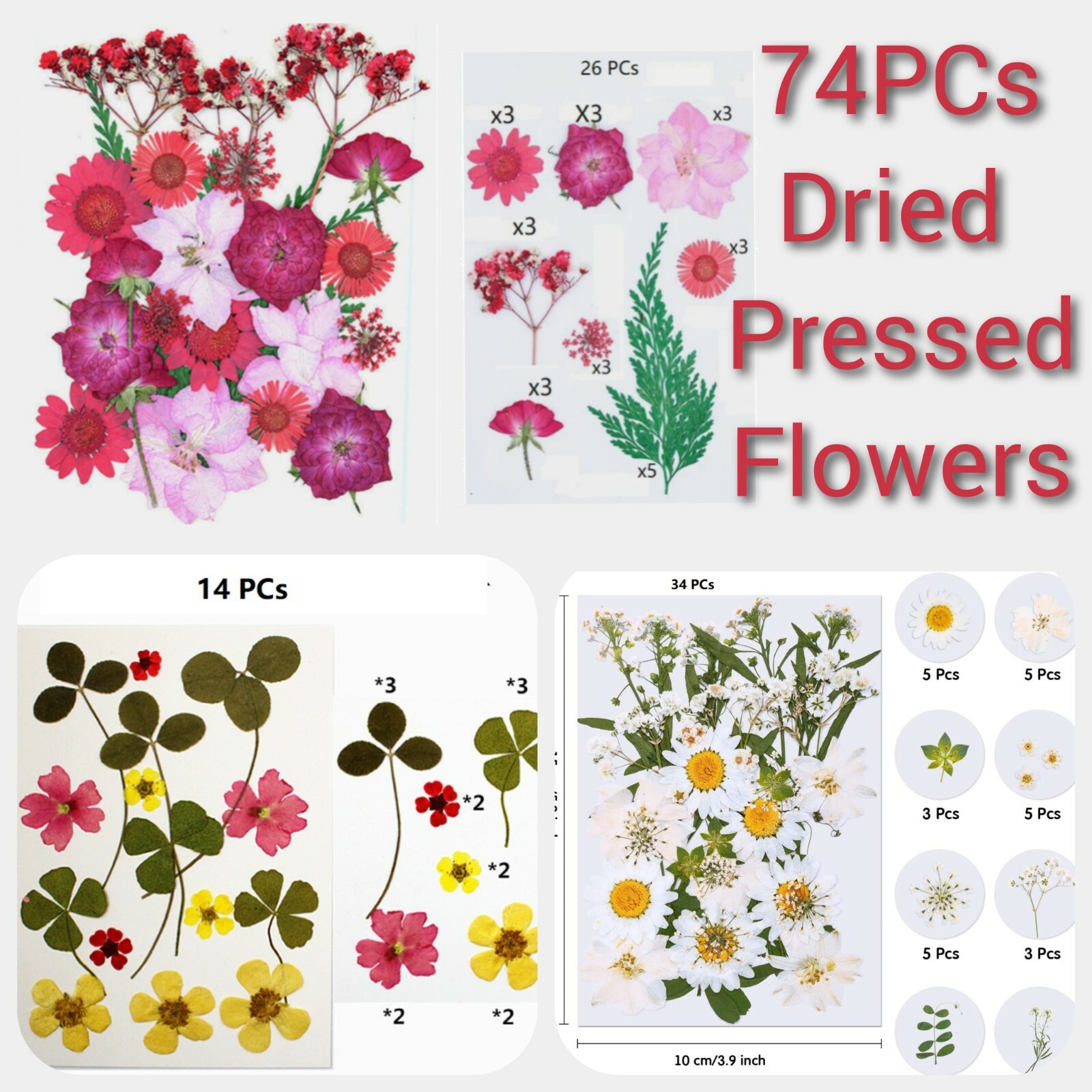 Dried Pressed Flowers for Resin DIY
