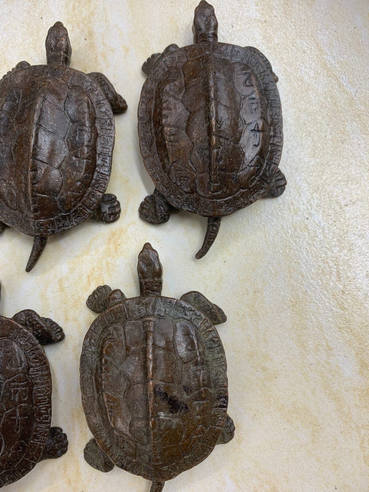 5 Pcs Wonderful Chinese Bronze Hand Made *Turtle* Statues