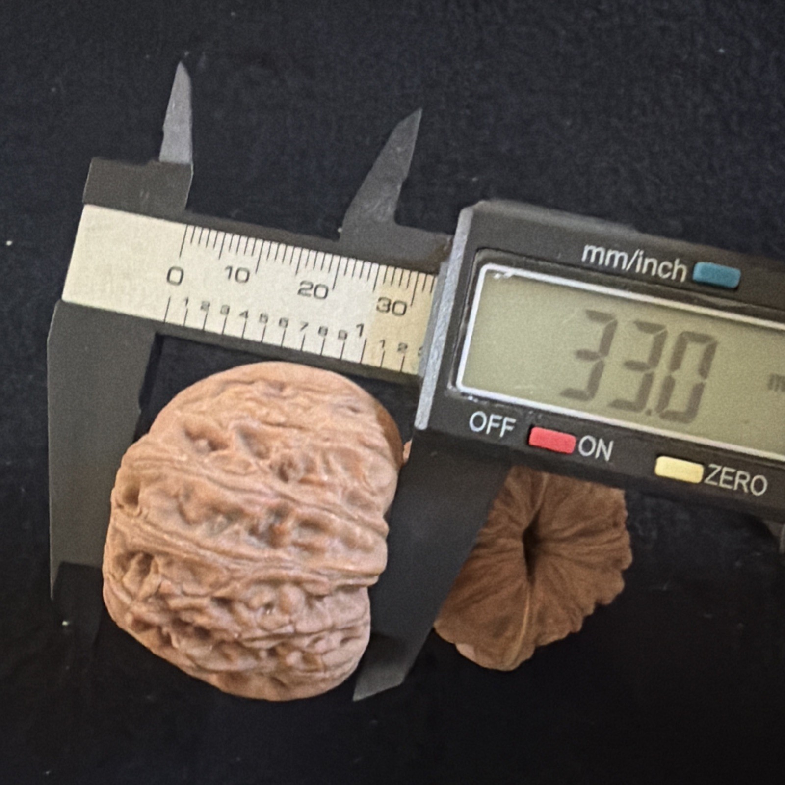 文玩核桃 Ornamental Walnut · Chinese Pocket Curio 2026年新开，精配对无修无打底，#192