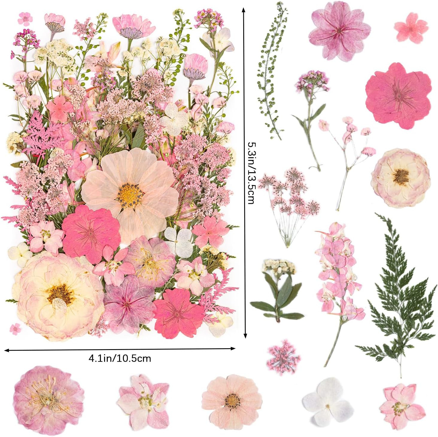 50Pcs Pink Pressed Dried Flowers Leaves for DIY Crafts and Scrapbooking