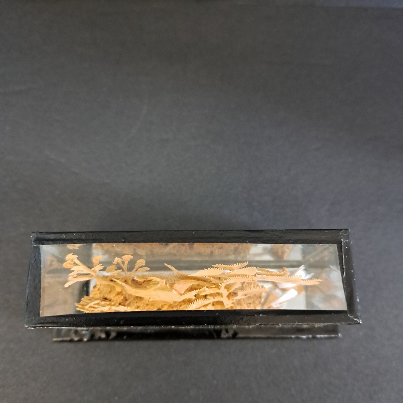 Carved Chinese Cork Diorama Shadow Box Sculpture In Glass Cranes Trees Pagoda