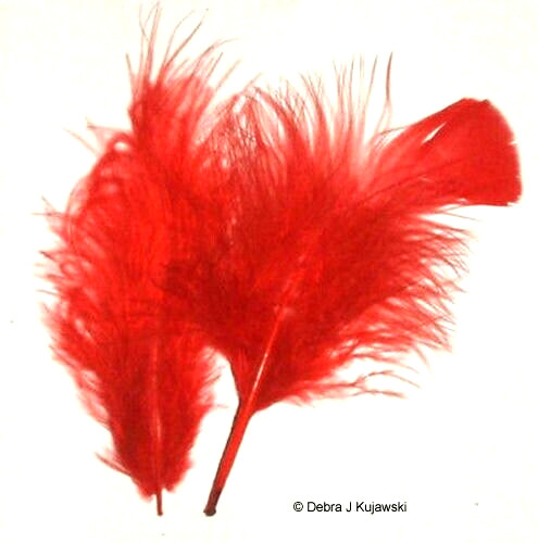 Quality Marabou Feathers RED Fluffy 3-8″ L 7 grams Approx 35 ct