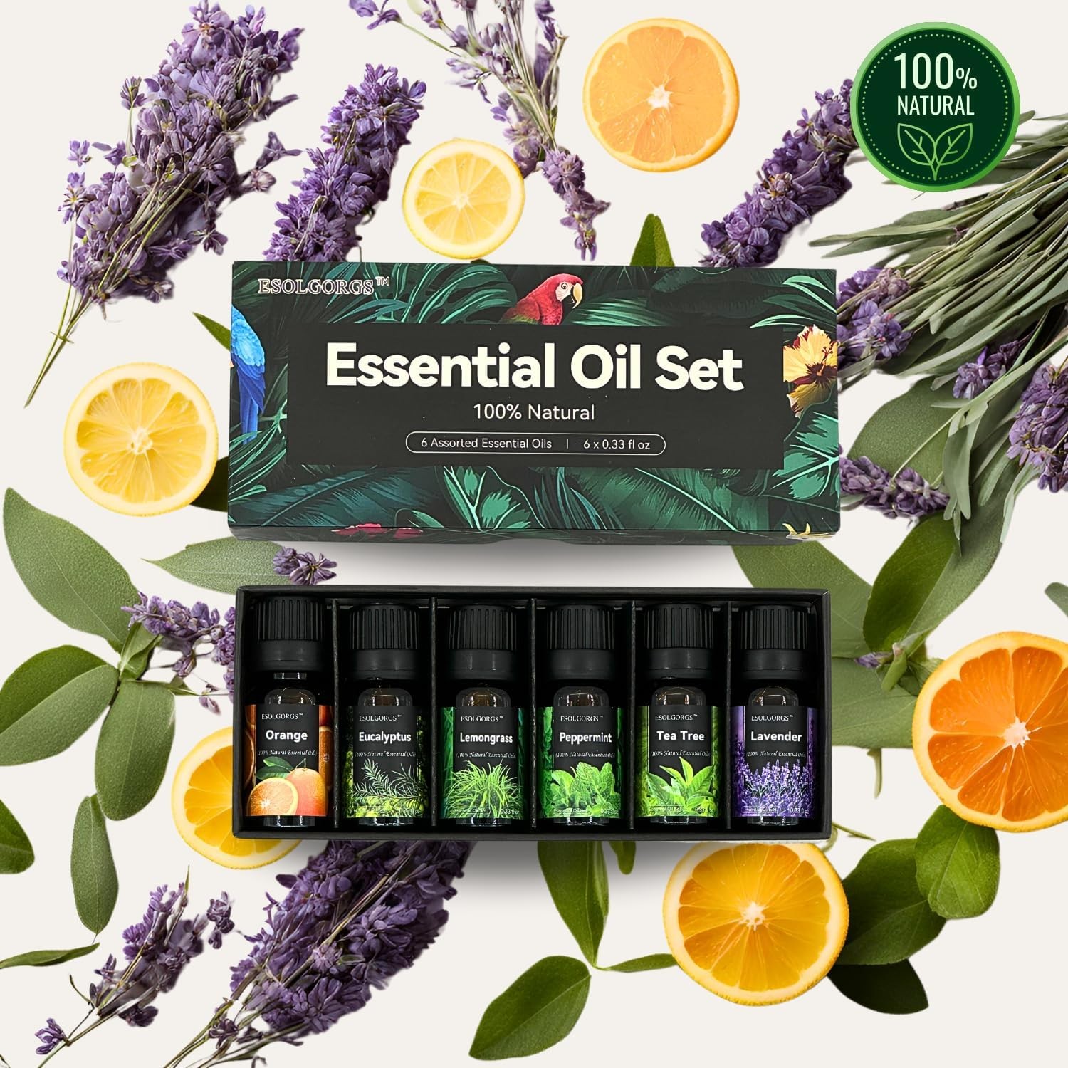 ESOLGORGS Essential Oils Set – 6 Blends for 0.33 Fl Oz (Pack of 6), Amber