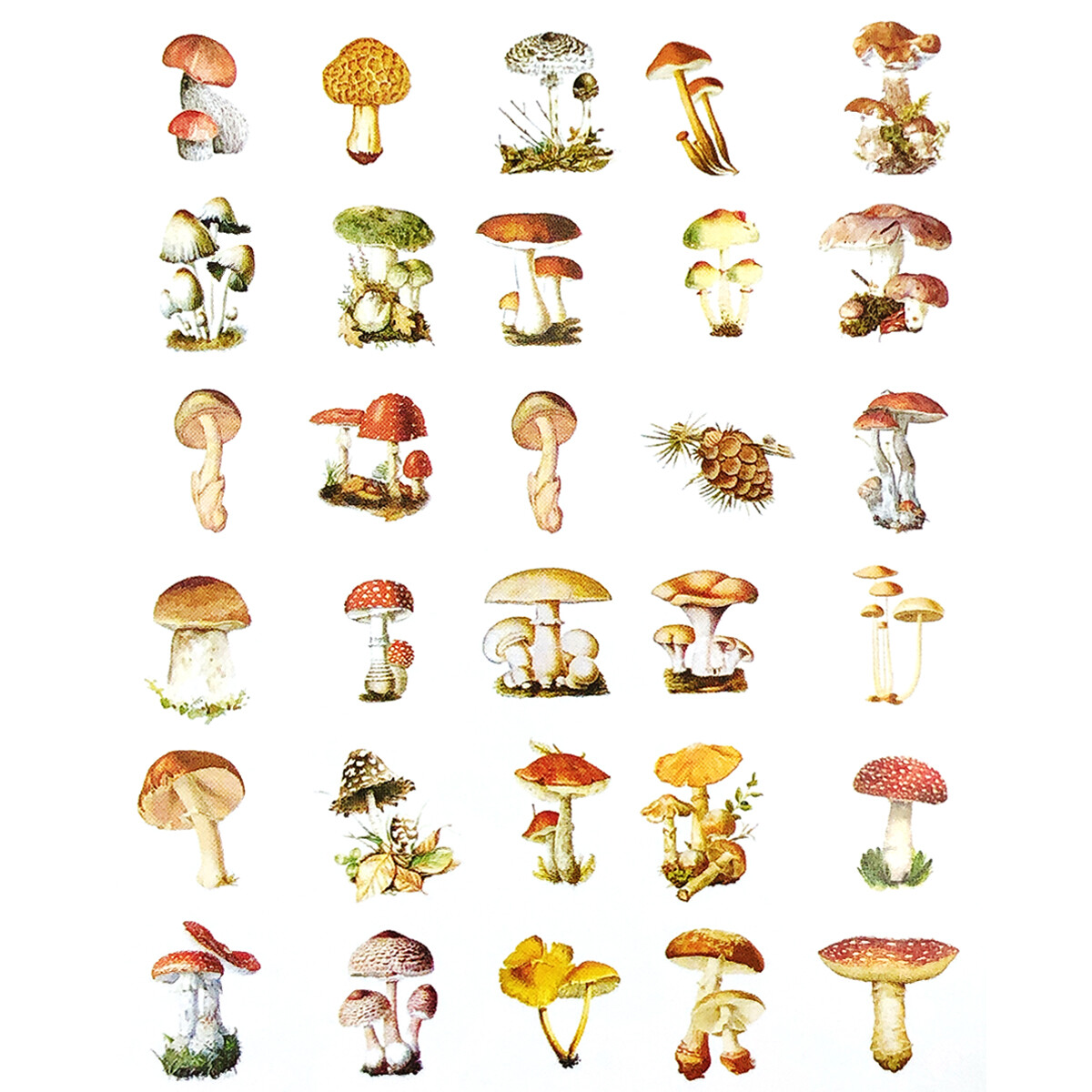 Wrapables Decorative Scrapbooking Washi Stickers, DIY Stationery Diary (60pcs)
