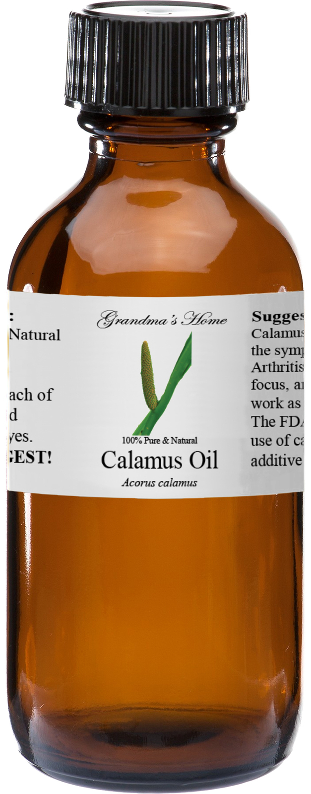 Calamus Essential Oil 4 oz – 100% Pure – Therapeutic Grade – Grandma’s Home