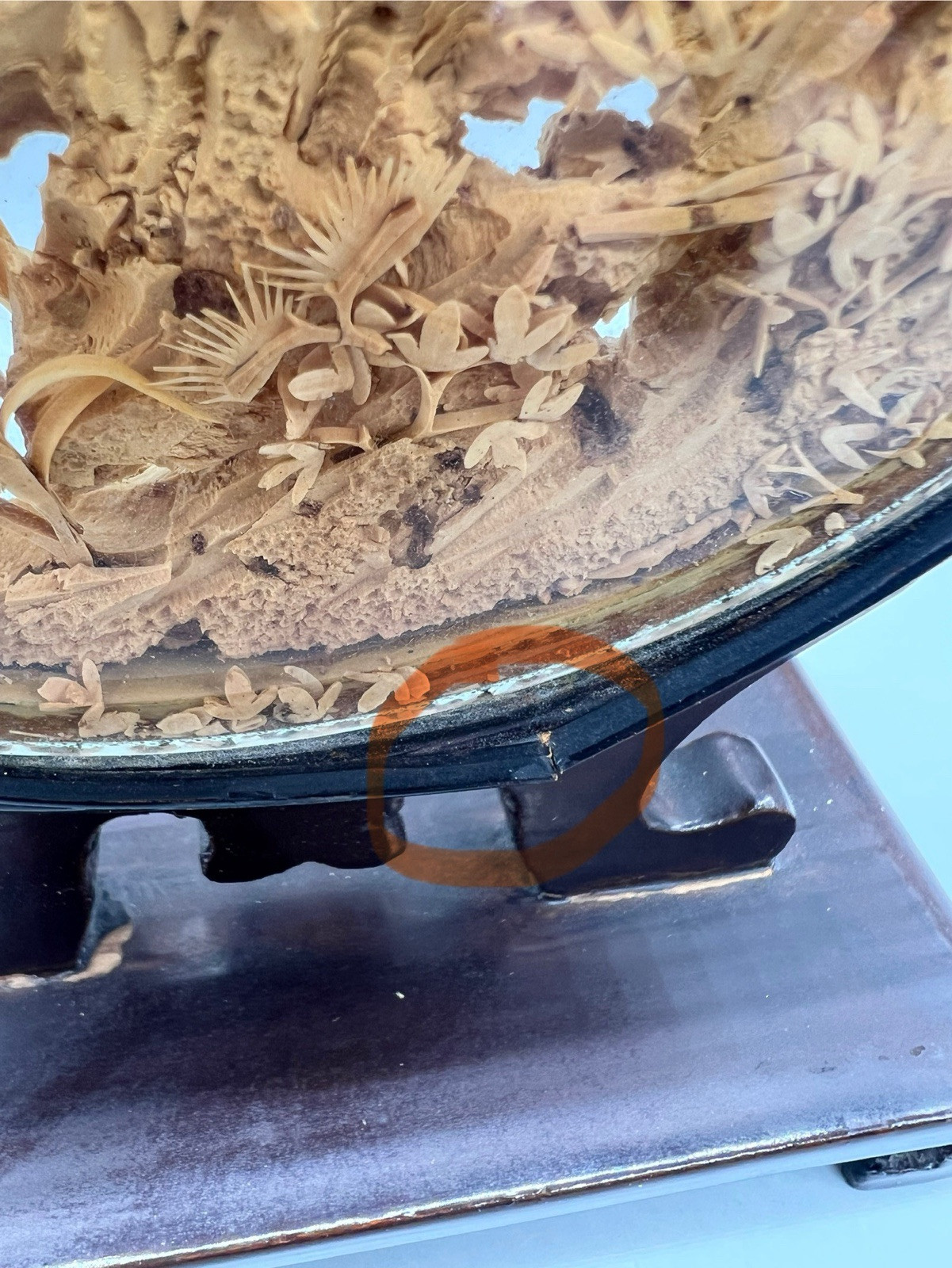 Vintage Chinese Cork Carving Encase Round Diorama Pagoda Trees Cranes 7″