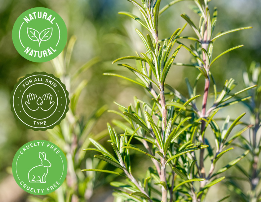 15 ml Rosemary Essential Oil (100% Pure & Natural) – GreenHealth