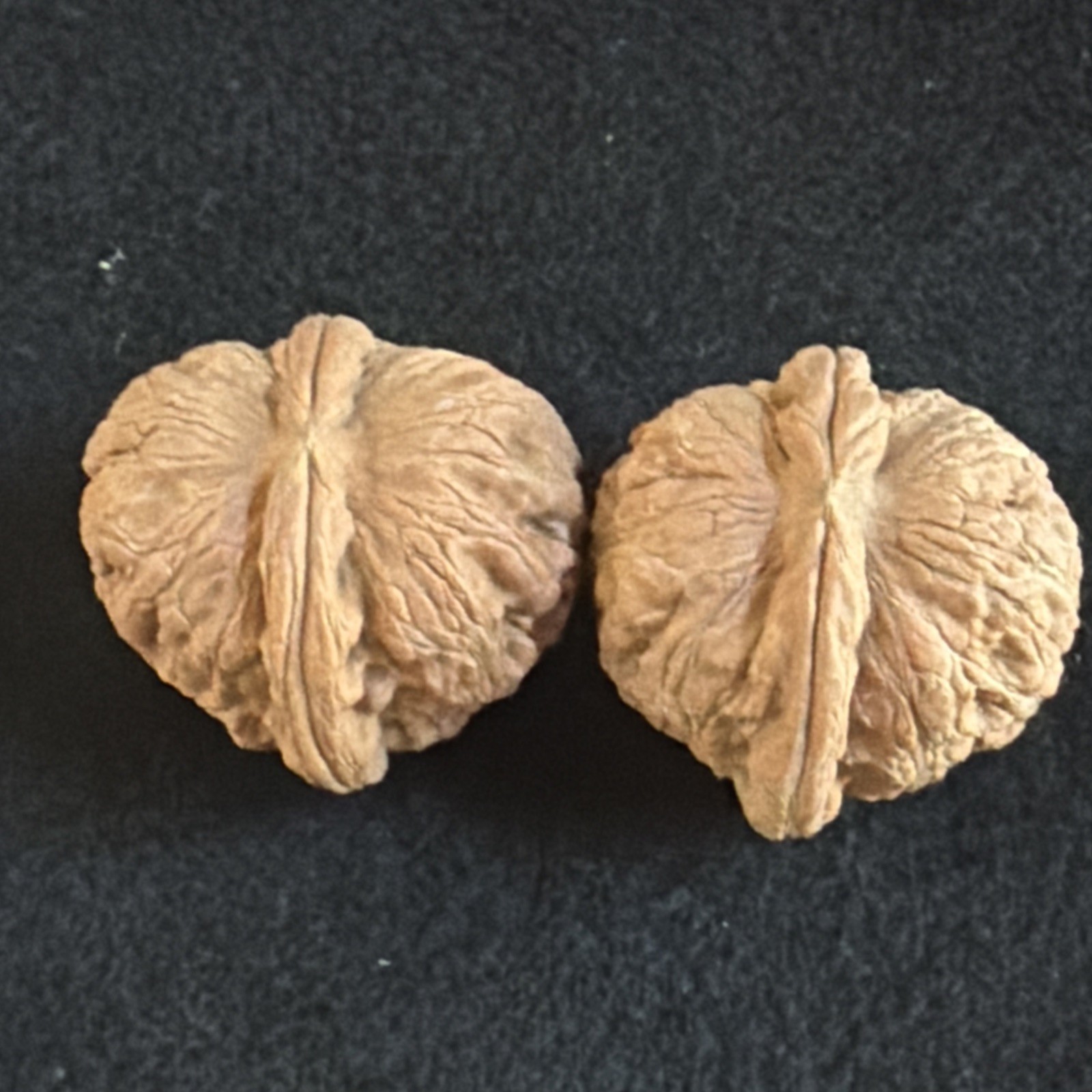 文玩核桃 Ornamental Walnut · Chinese Pocket Curio 2026年新开，精配对无修无打底，#192