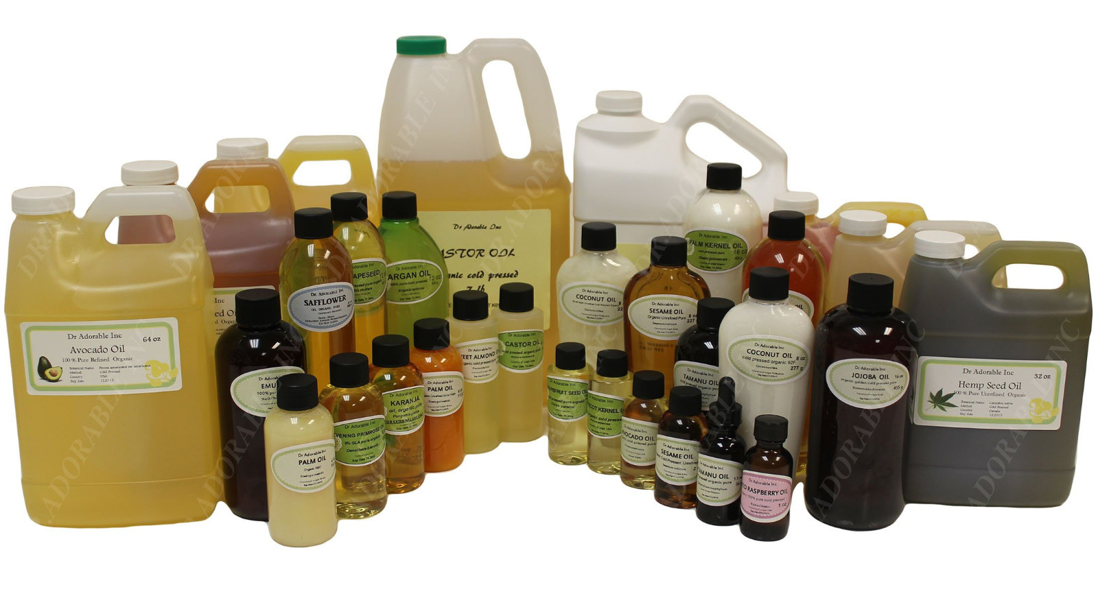 100% PURE ORGANIC DANDELION HERBAL OIL COLD PRESSED 2 oz up to 1 gallon FREE SH