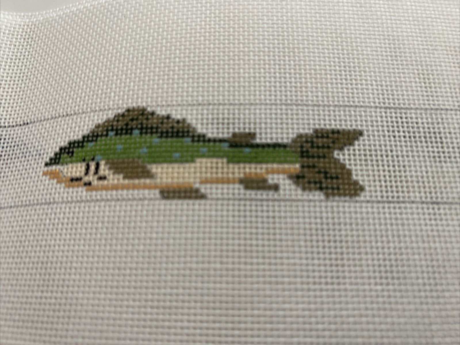 Colorful JHL Fish Belt #JB-303 18Ct Needlepoint Canvas