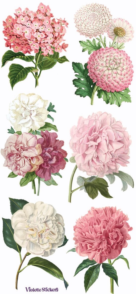 Violette Stickers Pink Peony Flowers Crafts Planner Supply Scrapbook