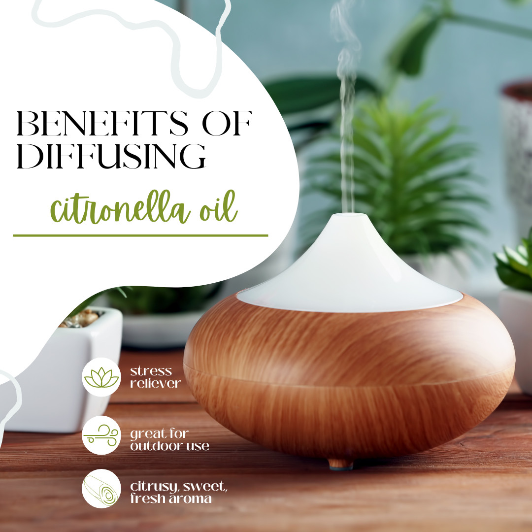 Bulk 8 fl oz Citronella Essential Oil (100% Pure & Natural) in Aluminum Bottle
