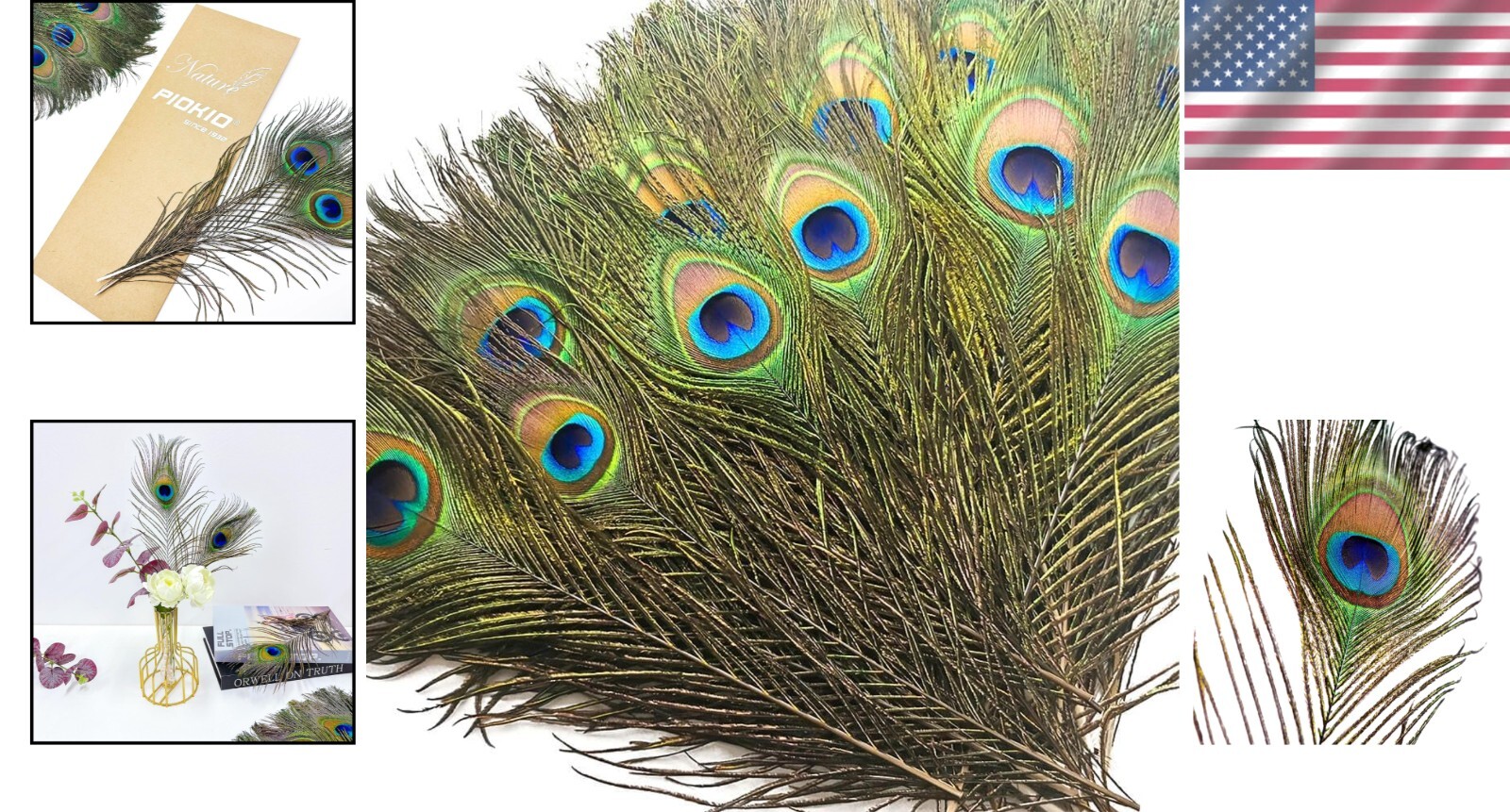 Bulk 100 pcs Cruelty-Free Peacock Feathers (10-12 Inch) for Creative Crafts