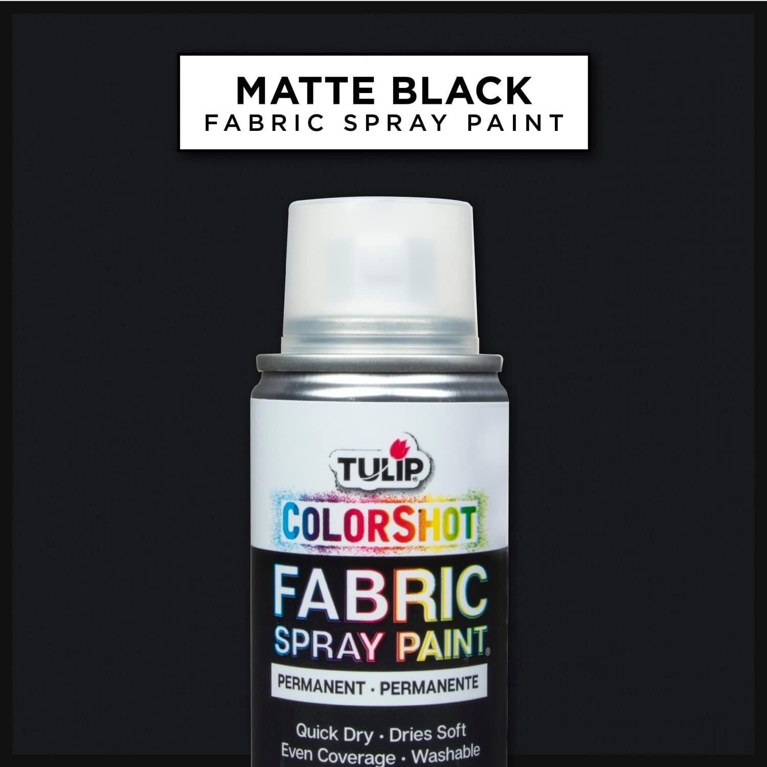 Tulip Colorshot Instant Fabric Spray Color 3Oz. Black
