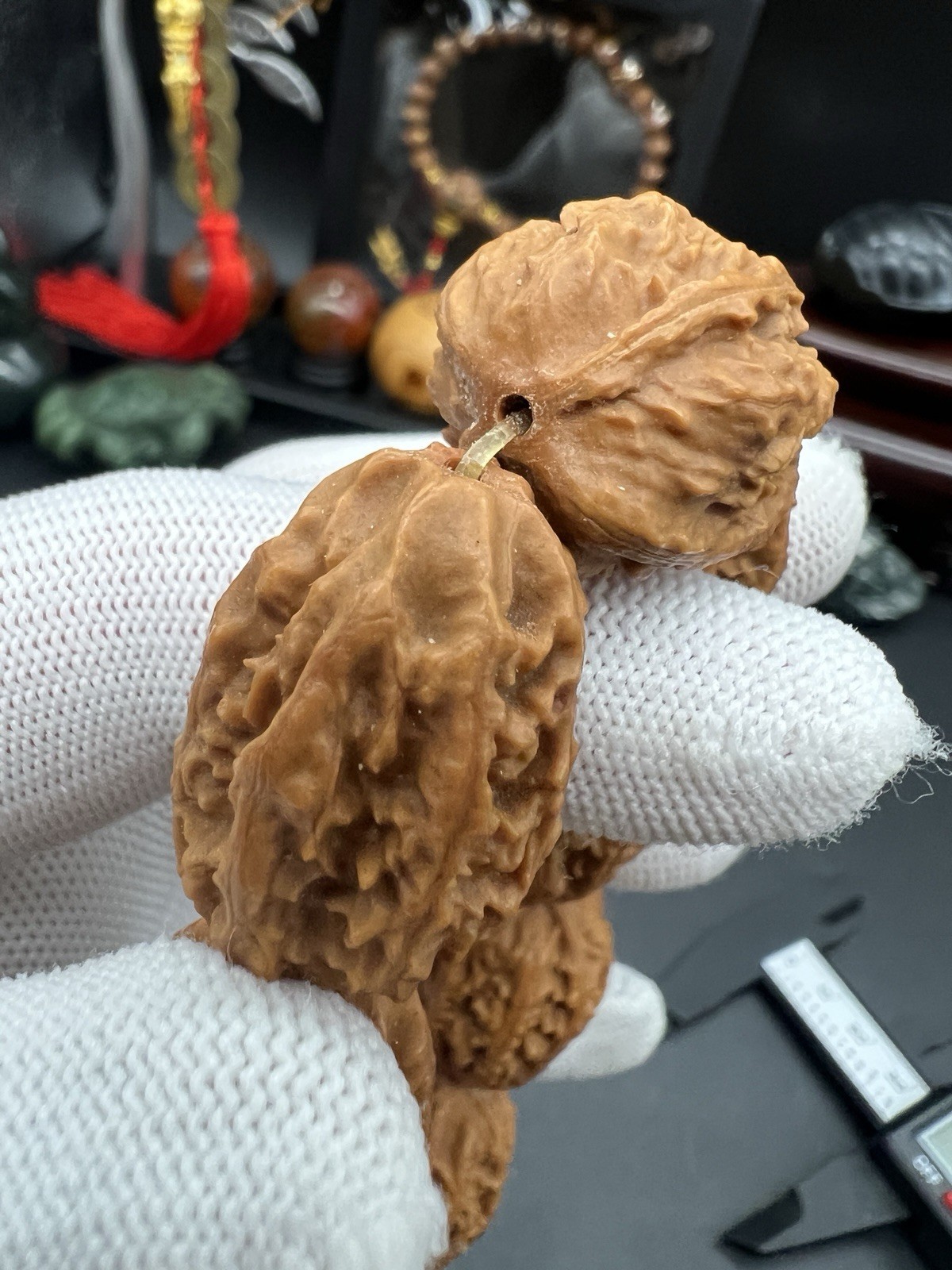 19×21×27.5mm Chinese Small Walnut Bracelet Collection纯野生蝴蝶纹大枣珠手串