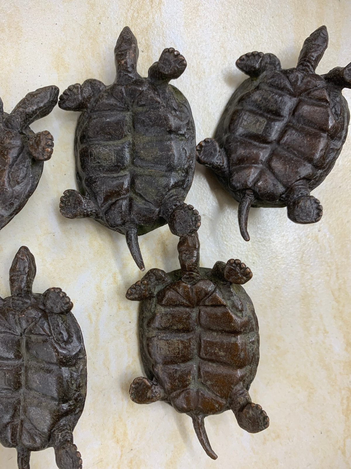 5 Pcs Wonderful Chinese Bronze Hand Made *Turtle* Statues