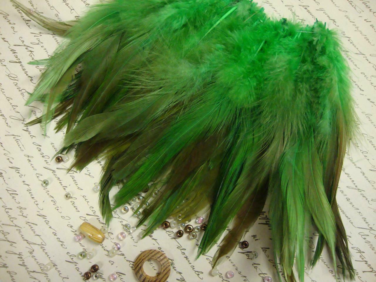 Chinese Rooster Saddle Hackle Feathers – Strung – Green over – 4-5″ – 50 Pcs.