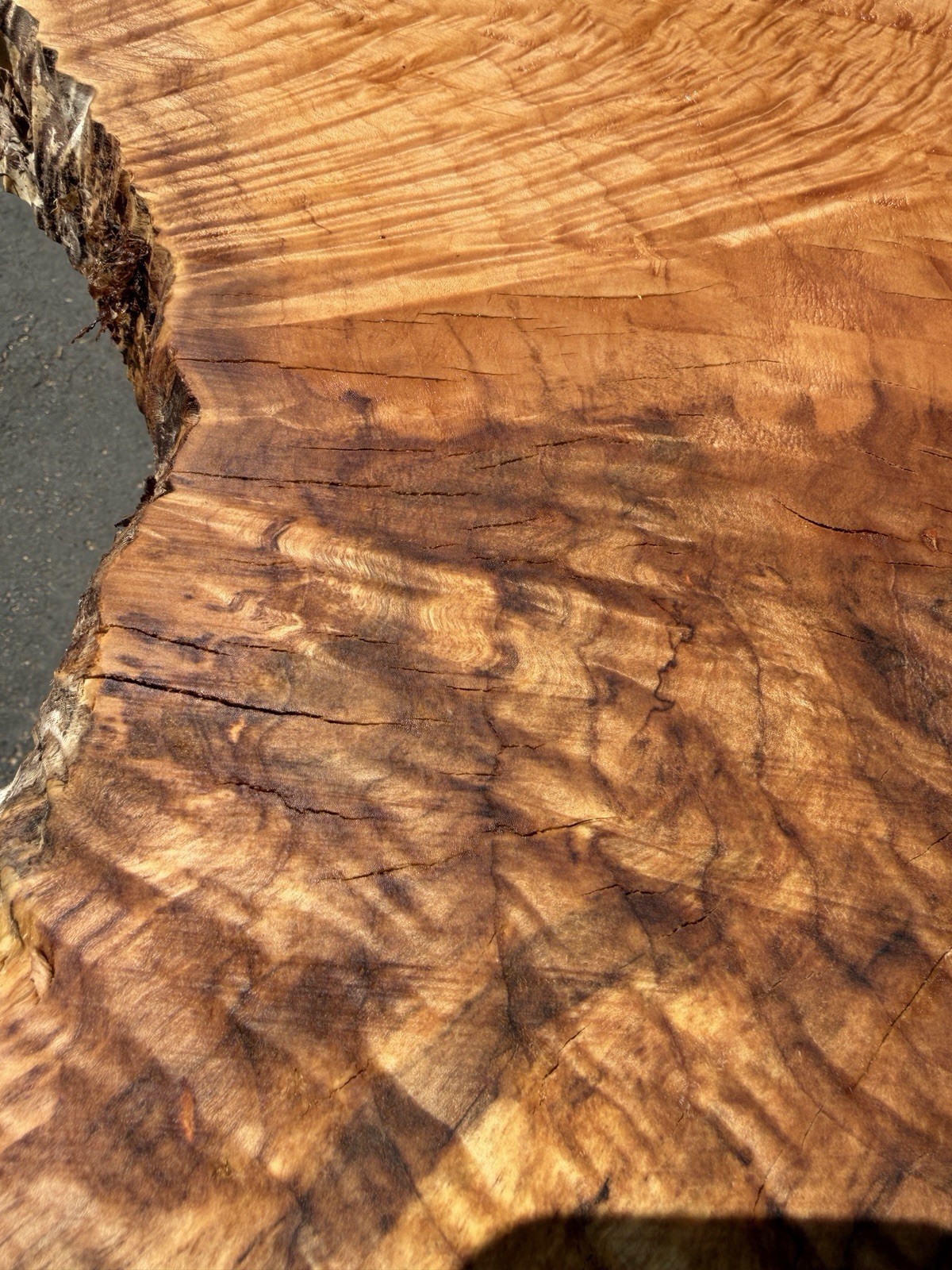 13’ Live Edge Big Leaf Maple Slab Highly Figured Low Moisture Delivery Options