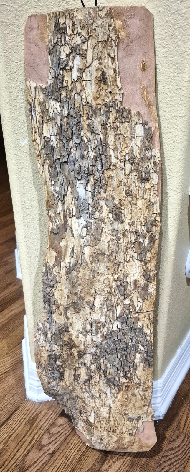 VTG 36” Chinese Decorative Artwork Natural Maple Wood Slab Feng Shie Wall Décor