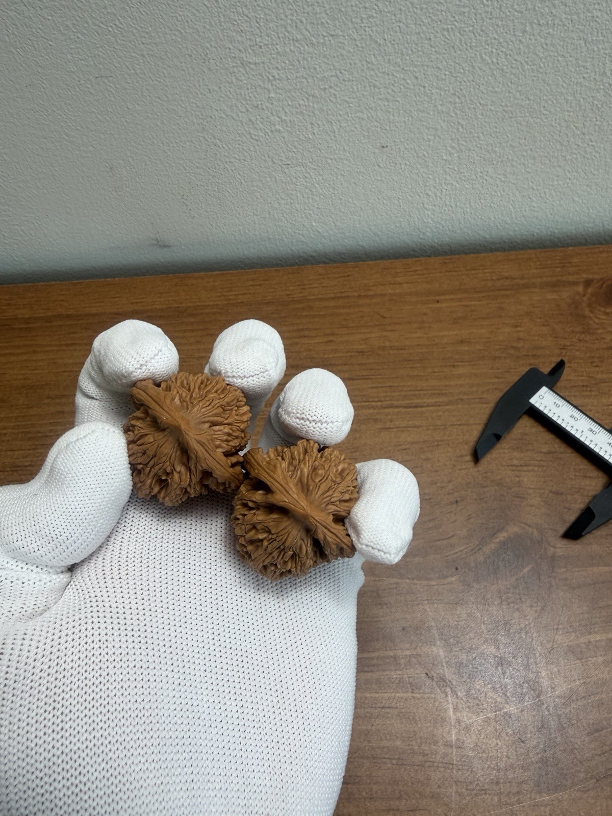Pair of Match Chinese Health Walnut 精品老树高装麦穗虎头文玩核桃 40x36x34 已打底 配底座手套和刷子