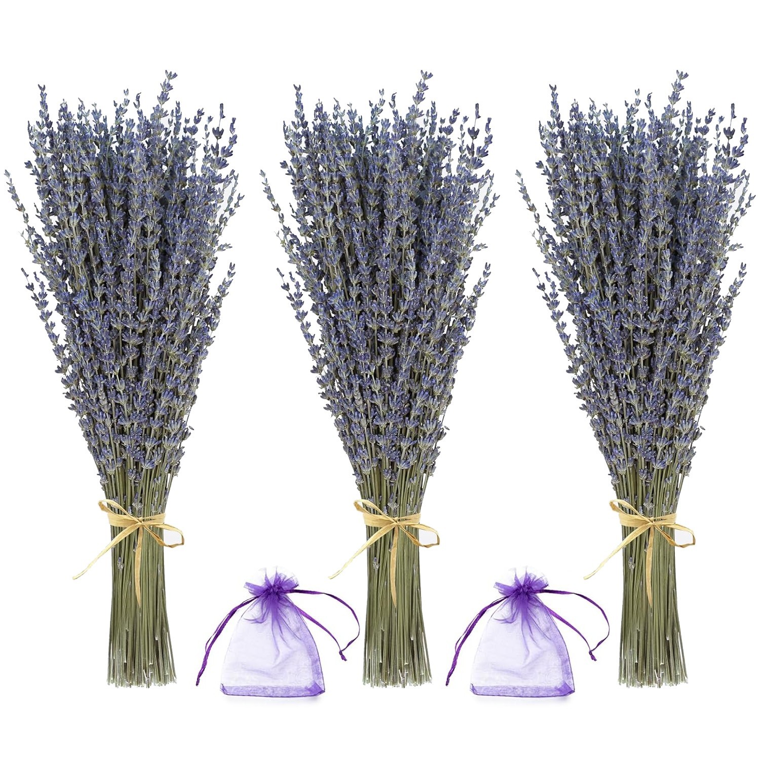 Lavender Bundles – Natural Dried Flowers for Home Decor, 150g (3 Bunches)