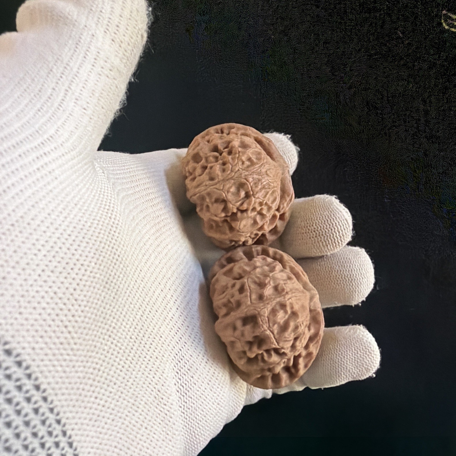 文玩核桃 Ornamental Walnut · Chinese Pocket Curio 2026年新开，精配对无修无打底，#189
