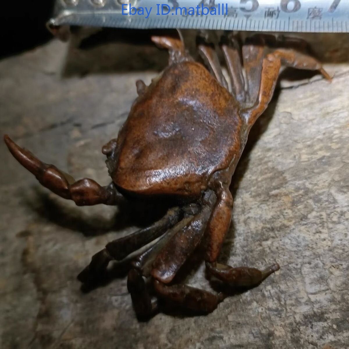 Brass Crab Tea Pet Craft Ornament Home Decor
