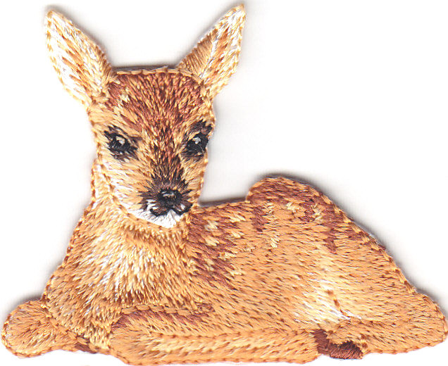 DEER ron On PatcH Forest
