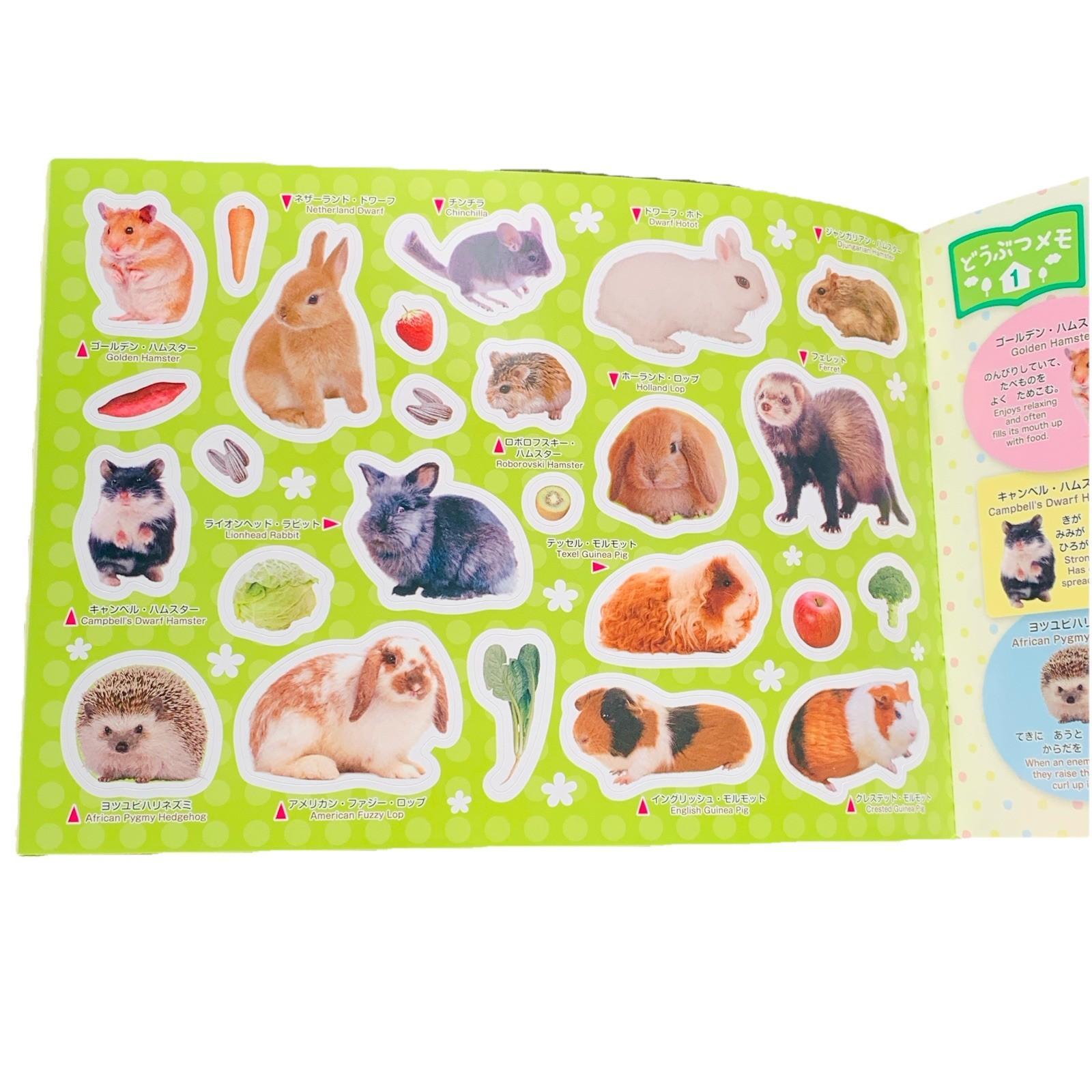 Cute Pet Animal Sticker Book – Daiso Japan Exclusive