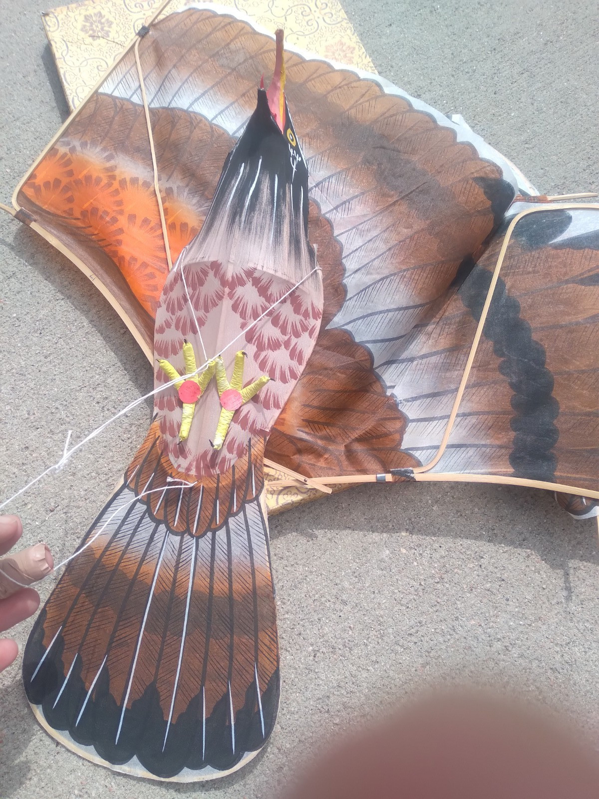 Vintage Chinese Silk & Bamboo Eagle Bird of Prey Kite with Box 36″ wingspan Rare