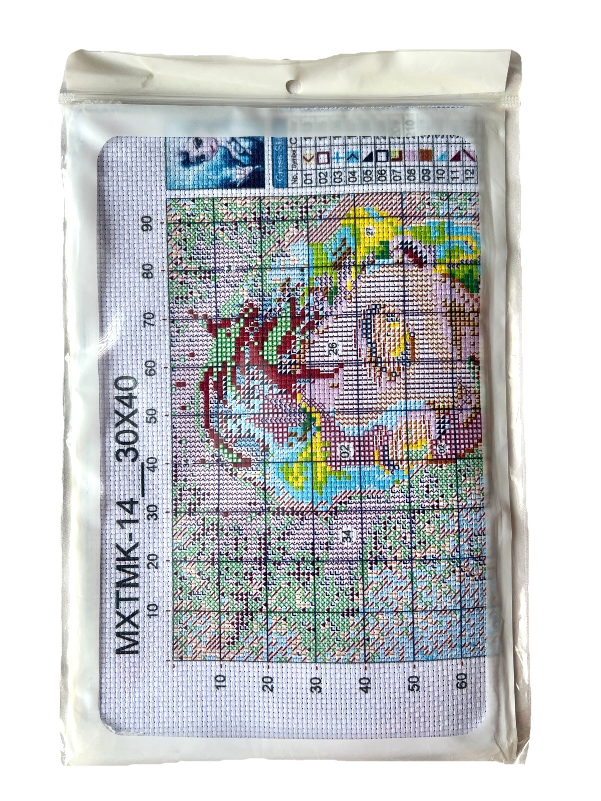 Frozen Cross Stitch Kit 30 x 40 Embroidery Thread Pattern Arts & Crafts Hobbies