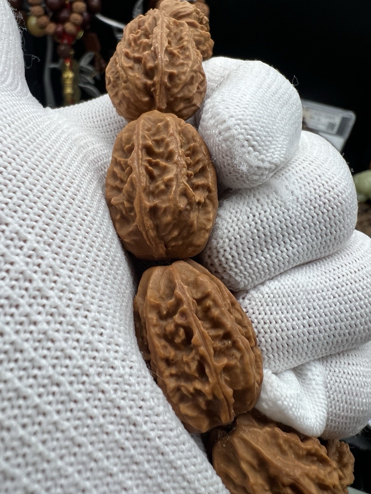 19×21×27.5mm Chinese Small Walnut Bracelet Collection纯野生蝴蝶纹大枣珠手串