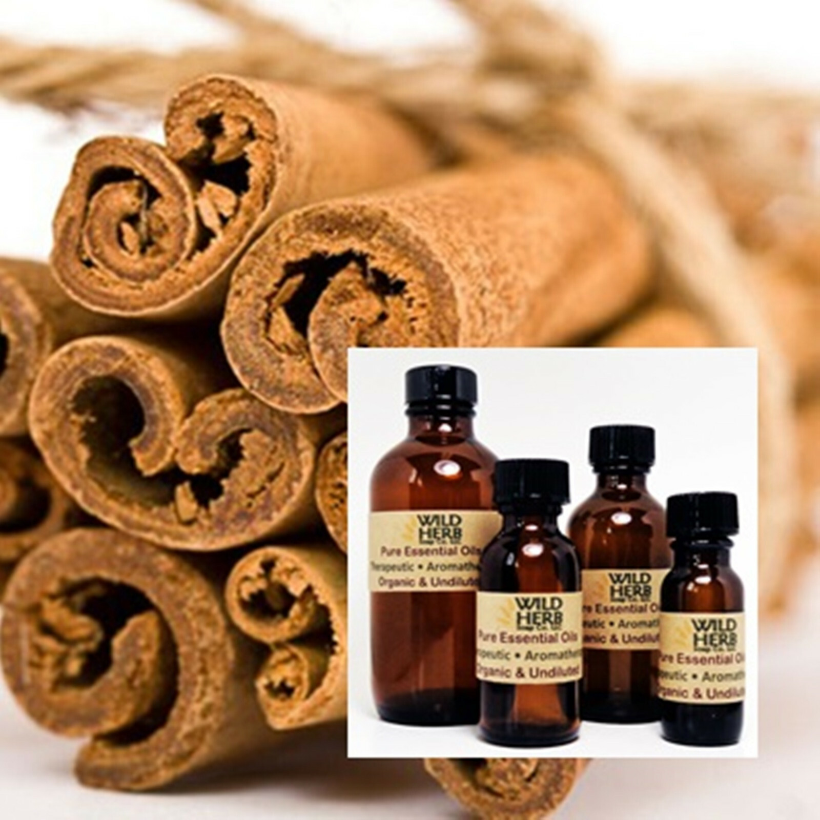 CINNAMON BARK PURE ESSENTIAL OIL – Therapeutic Aromatherapy Grade – US Seller