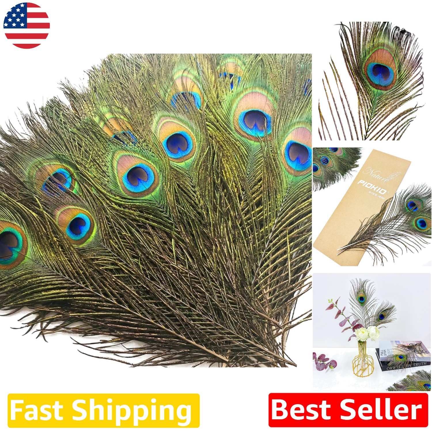Bulk 200pc Peacock Feathers 10-12″ Cruelty-Free Natural Craft Decoration